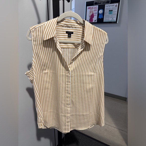 Ann Taylor Tops - Ann Taylor sleeveless blouse XL
